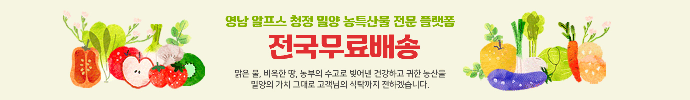 영남 알프스 청정 밀양 농특산물 전문 플랫폼 '전국무료배송' 농부의 수고로 빚어낸 건강한 농산물을 고객님의 식탁까지 전하겠습니다.