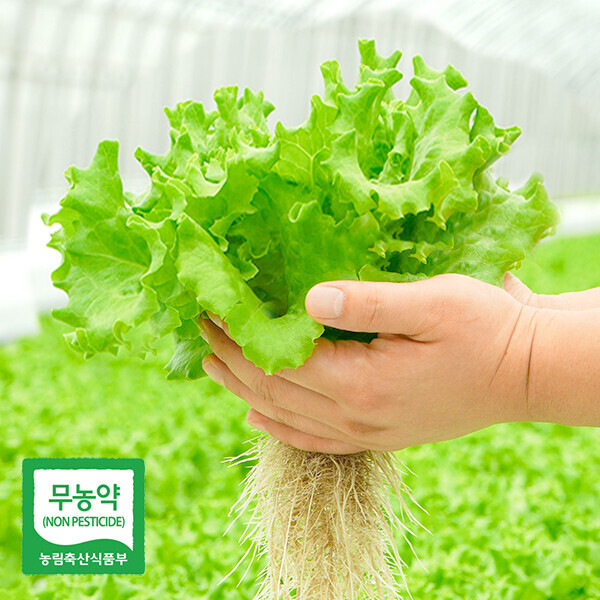 유럽샐러드 500g(3종)