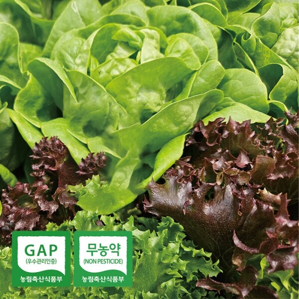 유럽 샐러드 500g