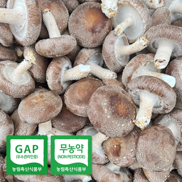 무농약 생표고버섯(상품)1kg