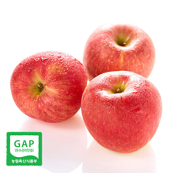 밀양 얼음골 부사 3kg 9과(중상)