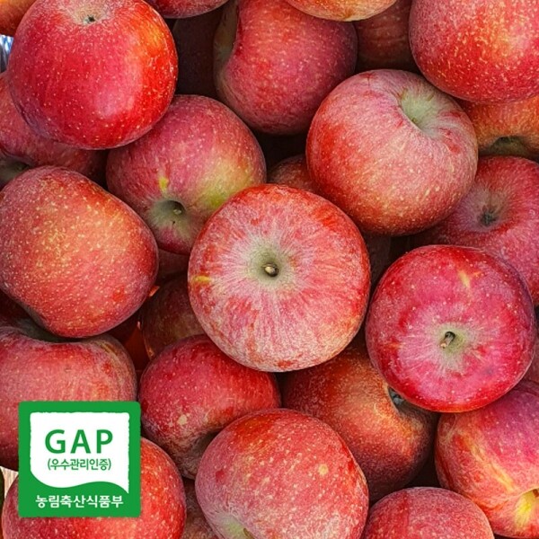 10kg 흠소(46~50과)