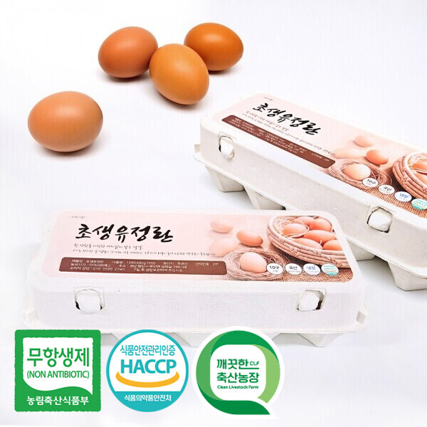 초생유정란 20구