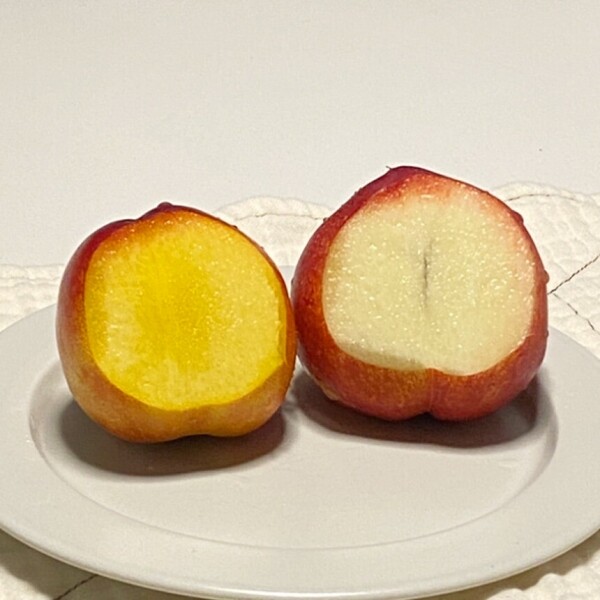 1. 신선복숭아 2kg_20~21과