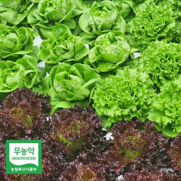 유럽채소1.8kg(4~8종)