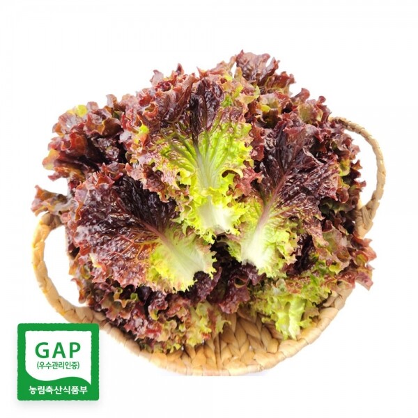 국민농장꽃상추(500g)