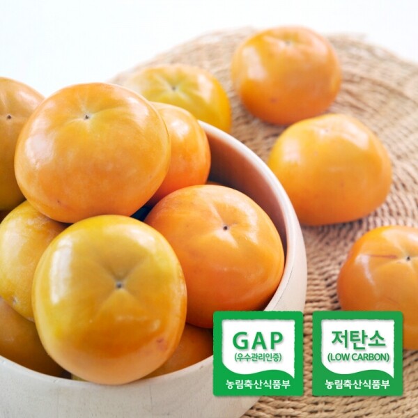 밀양 햇단감 5kg 36-40과