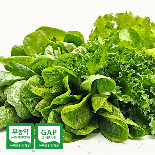 유러피안 샐러드 모듬 1kg